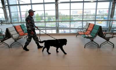Image for Putin names regional Russian airport Stalingrad