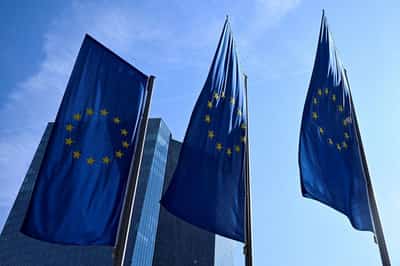 Image for AI market correction is coming, ECB blog predicts