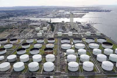 Image for Oil rises on Saudi oil production expectations