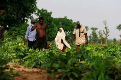 Image for Global Citizen seeks up to $1 billion for six sustainable ‘Impact’ funds