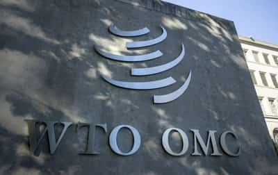 Image for WTO fixes date for major meeting in Cameroon in early 2026