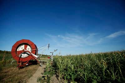 Image for EU prosecutors investigate Croatia over suspected farm fund fraud