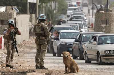 Image for UN resolution urges accountability for attacks on peacekeepers
