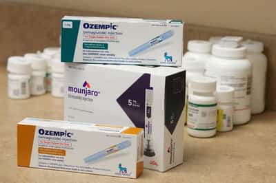 Image for Weight-loss drugs fuel protein boom, but with more consumer scrutiny