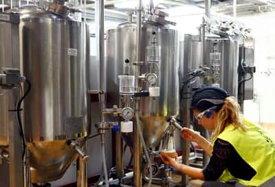 Image for Budweiser-maker AB InBev shareholder E.P.S. to sell 10 million shares in company 