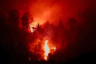 Image for Wildfires rage in Greece as firefighters continue battle in France and Spain