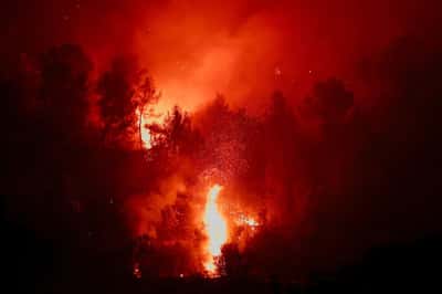 Image for Wildfires rage in Greece as firefighters continue battle in France and Spain