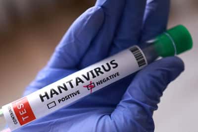 Image for KLM flight attendant tested negative for hantavirus infection, WHO says