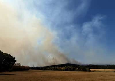 Image for Germany evacuates about 2,000 people as wildfire reaches western village