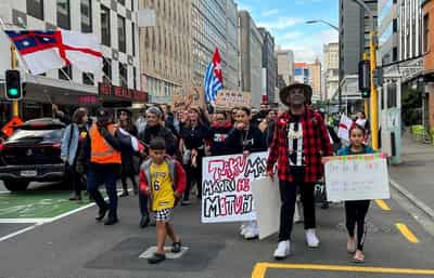 Image for New Zealand defers vote on rare suspension of Indigenous lawmakers