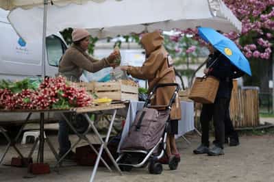 Image for Euro zone consumer confidence rises to -19.0 in May