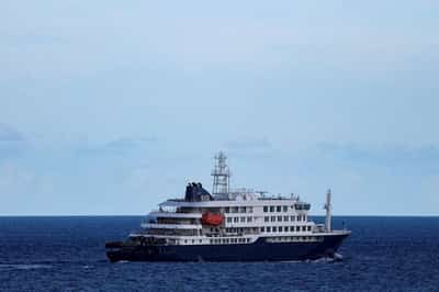 Image for Five US passengers from hantavirus-hit ship return to home states