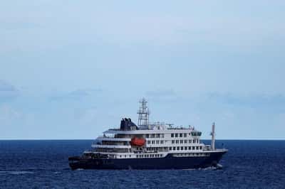 Image for Five US passengers from hantavirus-hit ship return to home states