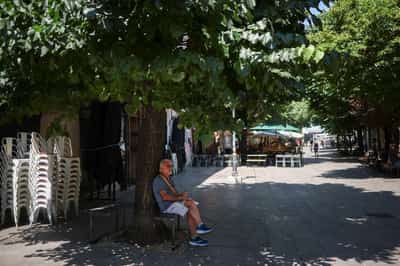 Image for Europe may face 'more deadly weeks' as new heatwave builds, WHO warns