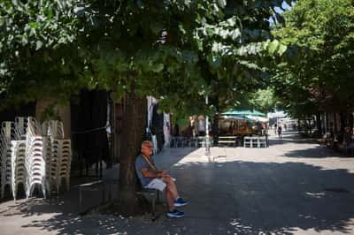 Image for Europe may face 'more deadly weeks' as new heatwave builds, WHO warns