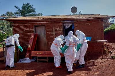 Image for A cracked coffin, a funeral and the hunt for Ebola's patient zero