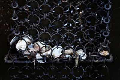 Image for UK seeks to extend ban on bottom trawling fishing in English seas