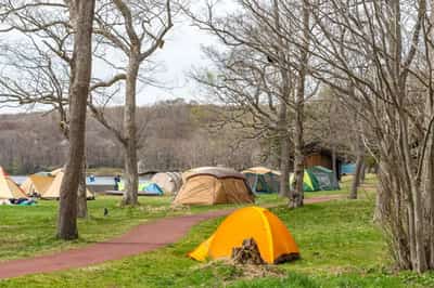 Image for 5 Top Banks Providing Loans for Summer Camp Expansions