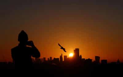 Image for Signature Aviation dog fight ends as GIP bids with Blackstone and Cascade