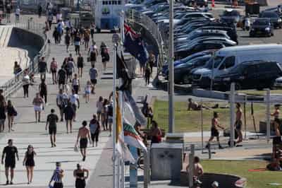 Image for Australian doctors warn of risks to hospitals once COVID-19 curbs ease