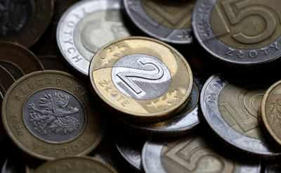 Image for Poland's zloty hits 19-month low ahead of rate decision
