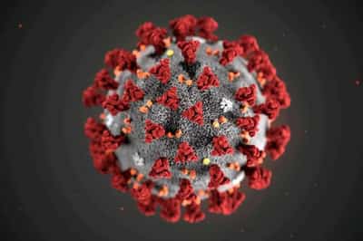 Image for WHO declares end to COVID global health emergency