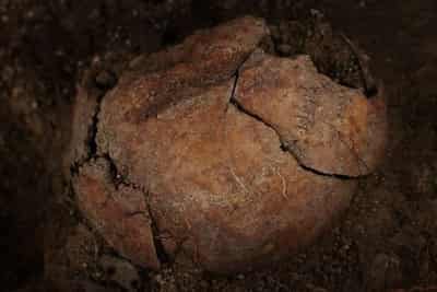 Image for Spain exhumes victim of Franco-era killings in ongoing recovery effort