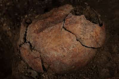 Image for Spain exhumes victim of Franco-era killings in ongoing recovery effort