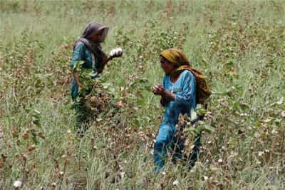 Image for Global economic crisis strangling progress for poor, warns U.N. development chief