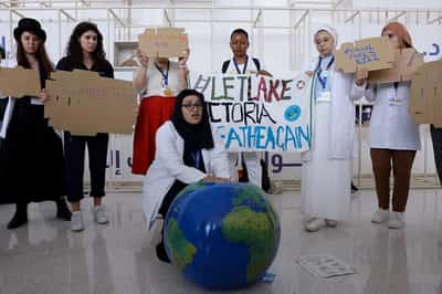 Image for COP28 focus on health draws $777 million to fight tropical disease
