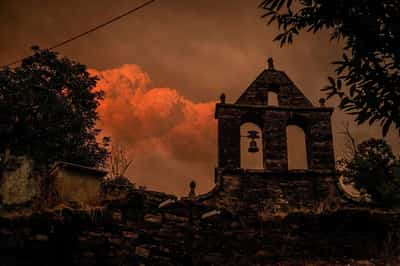 Image for Spain's summer of wildfires fuels calls for better forest management