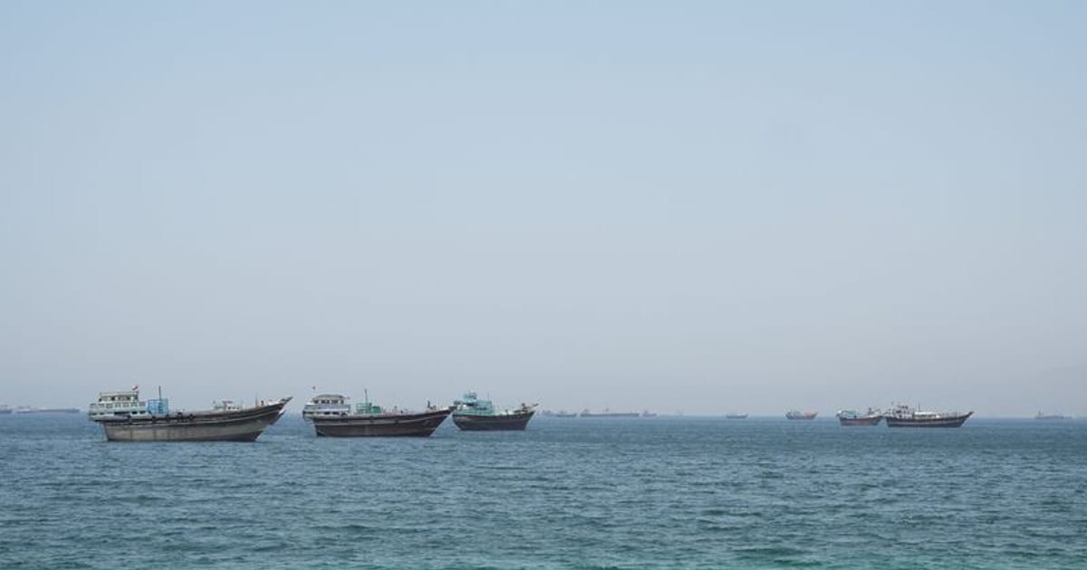 Lithuania could contribute minesweeping capabilities in Hormuz, defence chief says