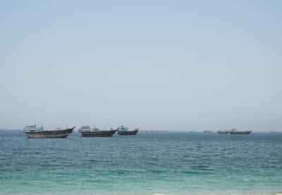 Image for Lithuania could contribute minesweeping capabilities in Hormuz, defence chief says