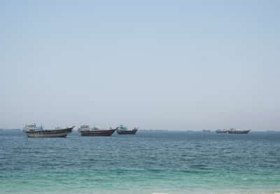 Image for Lithuania could contribute minesweeping capabilities in Hormuz, defence chief says