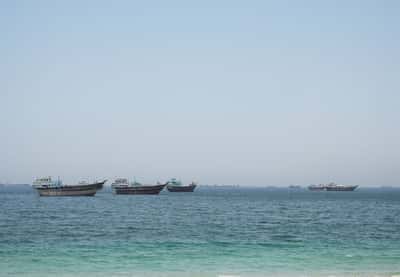 Image for Lithuania could contribute minesweeping capabilities in Hormuz, defence chief says