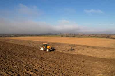 Image for Greek farmers pocket over 22 million euros in EU farm aid fraud, minister says