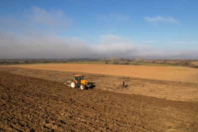 Image for Greek farmers pocket over 22 million euros in EU farm aid fraud, minister says