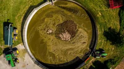 Image for In the U.S., manure is ‘hot commodity’ amid commercial fertilizer shortage