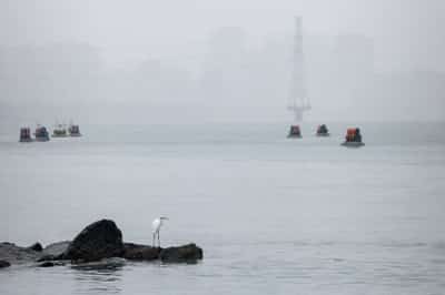 Image for US strike on Venezuela to embolden China's territorial claims, Taiwan attack unlikely, analysts say