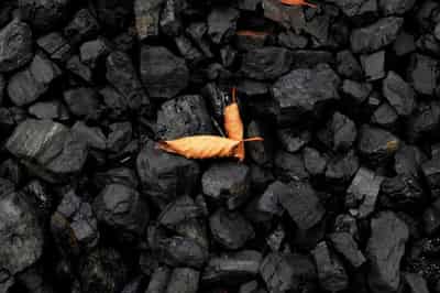 Image for World’s top banks pumped $742 billion into fossil fuels in 2021 – report