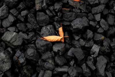Image for World’s top banks pumped $742 billion into fossil fuels in 2021 – report