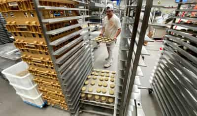 Image for Sentiment among small German businesses near pandemic lows -survey