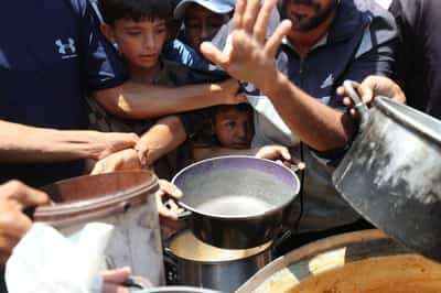 Image for Weaponisation of food in Gaza constitutes war crime, UN rights office says