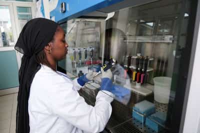 Image for EU secures emergency deliveries of potential treatment against hantavirus