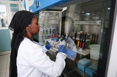 Image for EU secures emergency deliveries of potential treatment against hantavirus