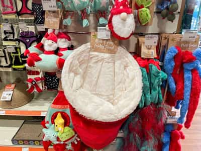 Image for Pets At Home reports annual underlying profit in line with expectations