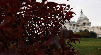 Image for Markets cheer signs of progress to end US government shutdown