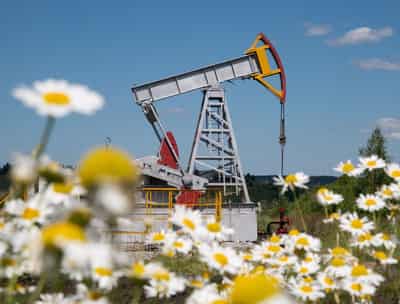 Image for Oil prices settle at 7-week high on worries about Iran exports