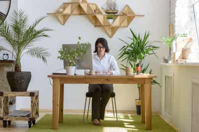 Image for Budding Business, Regulatory Jungle