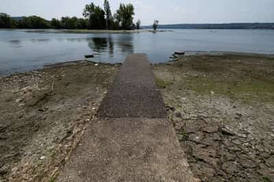 Image for Drought scorches Italy's rice belt as water supplies hit record lows​